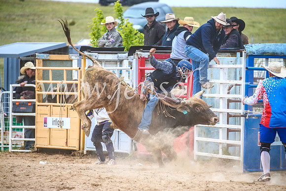 BungendoreRodeo2017_6681