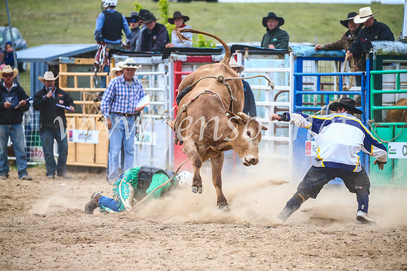 BungendoreRodeo2017_7339
