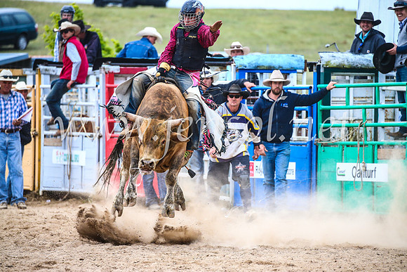 BungendoreRodeo2017_7095