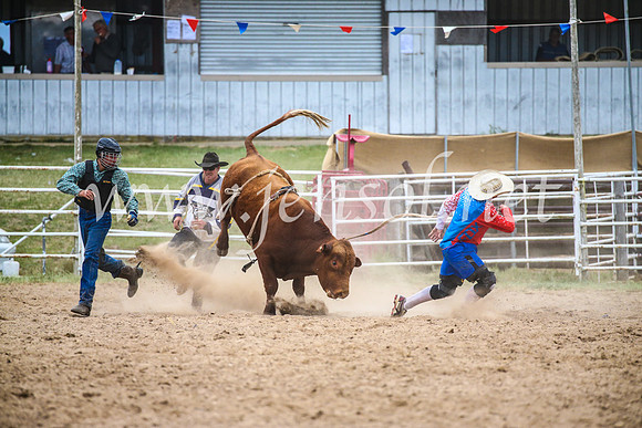 BungendoreRodeo2017_7213