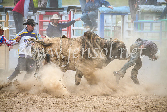 BungendoreRodeo2017_7063
