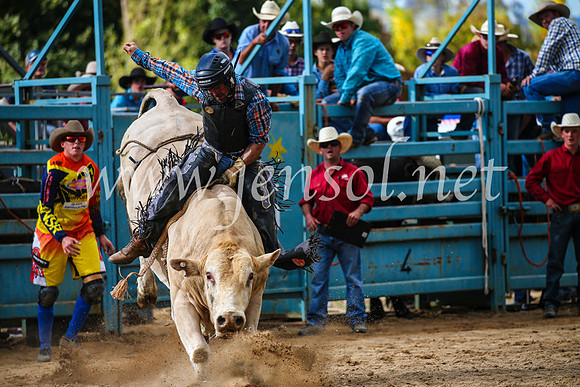 TumutRodeo2017_1989