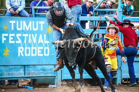 TumutRodeo2017_3398