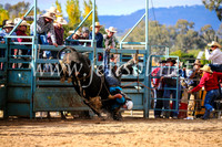 TumutRodeo2017_2009