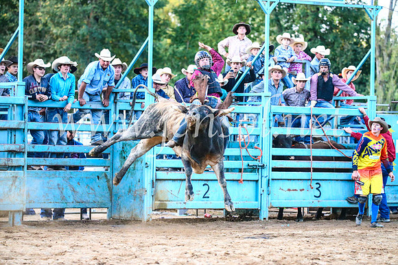 TumutRodeo2017_3436