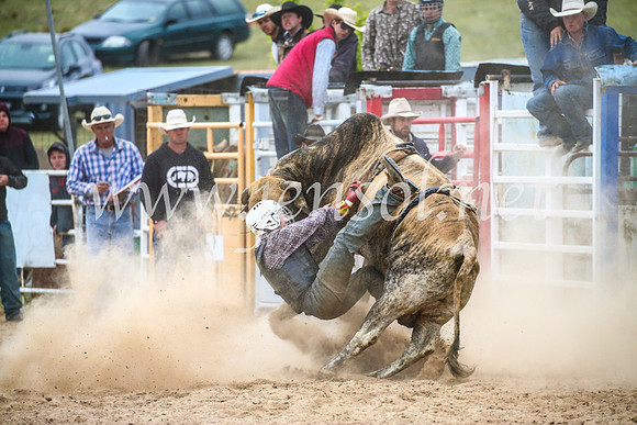 BungendoreRodeo2017_7055
