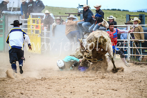 BungendoreRodeo2017_6817
