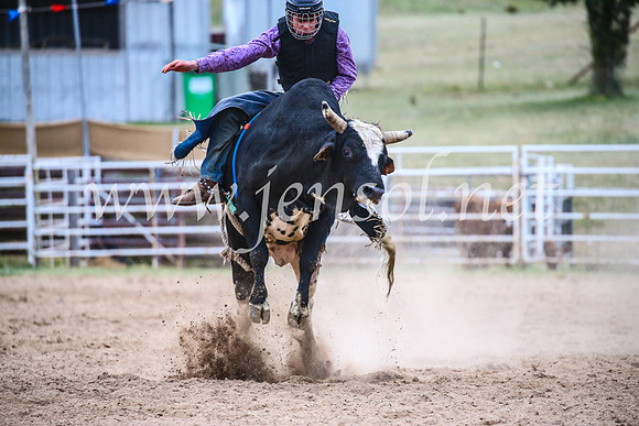 BungendoreRodeo2017_7292