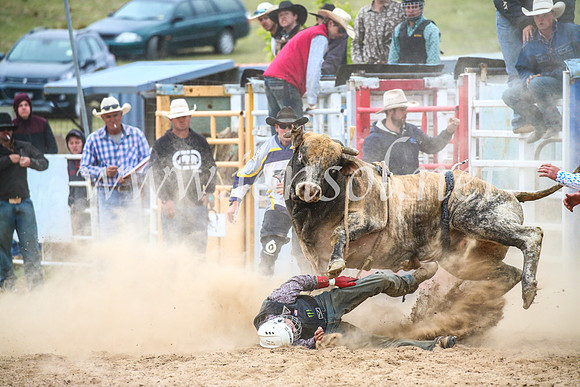 BungendoreRodeo2017_7059
