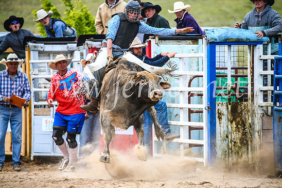 BungendoreRodeo2017_7401