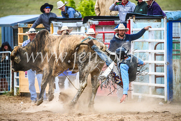 BungendoreRodeo2017_7424