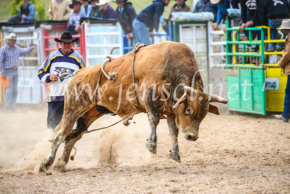 BungendoreRodeo2017_7448