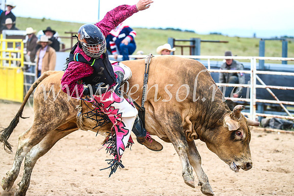 BungendoreRodeo2017_7135
