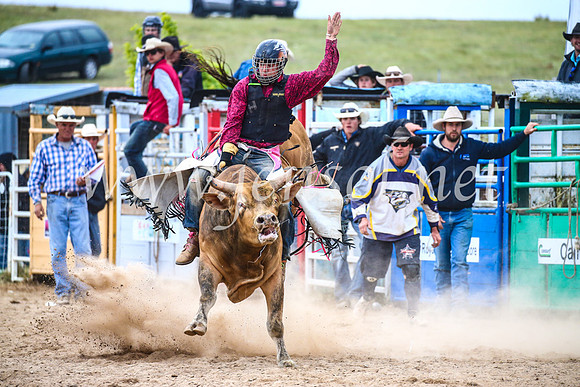 BungendoreRodeo2017_7086