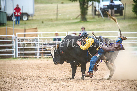BungendoreRodeo2017_6921