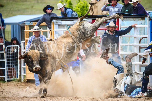 BungendoreRodeo2017_7427