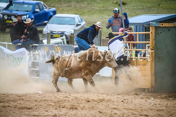 BungendoreRodeo2017_7393