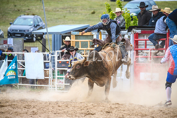 BungendoreRodeo2017_6687