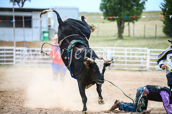 BungendoreRodeo2017_7316