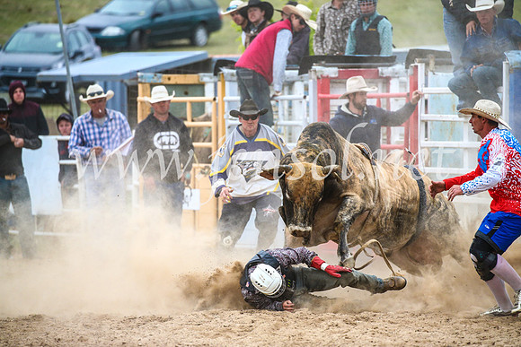 BungendoreRodeo2017_7056