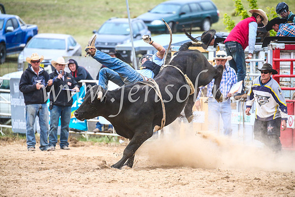 BungendoreRodeo2017_7009