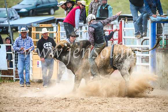 BungendoreRodeo2017_7039