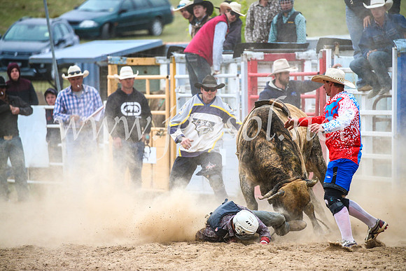 BungendoreRodeo2017_7046