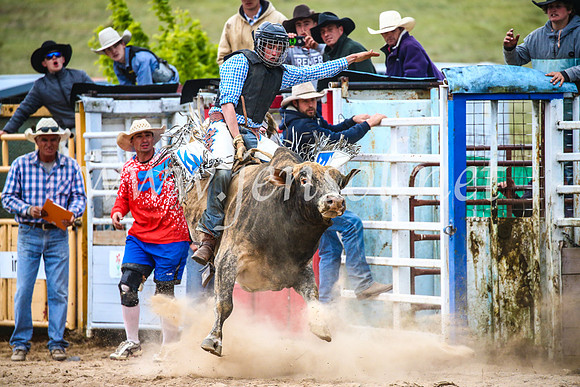 BungendoreRodeo2017_7400