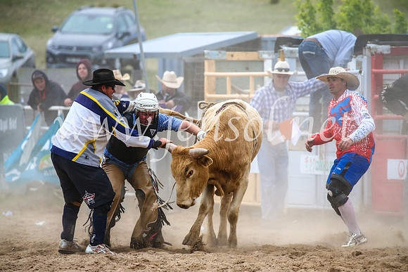 BungendoreRodeo2017_7242