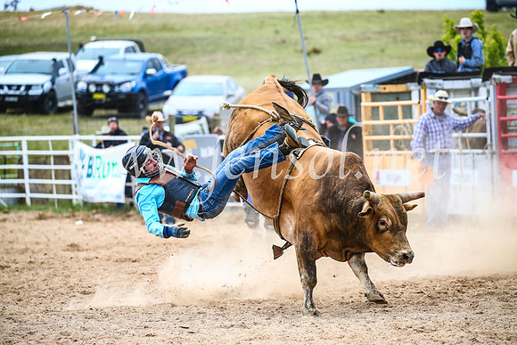 BungendoreRodeo2017_7440