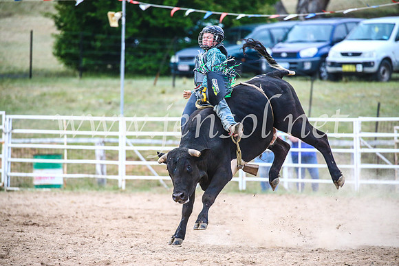 BungendoreRodeo2017_7273