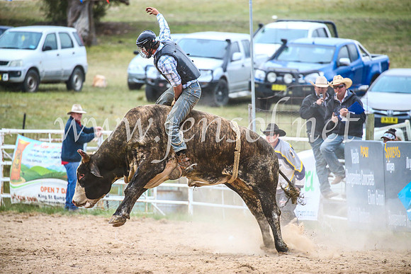 BungendoreRodeo2017_7147