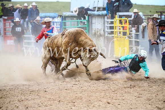 BungendoreRodeo2017_6783