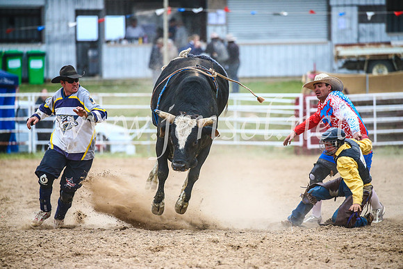 BungendoreRodeo2017_6938