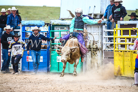 BungendoreRodeo2017_6719