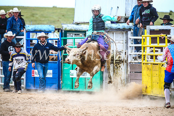 BungendoreRodeo2017_6716