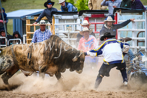 BungendoreRodeo2017_7415