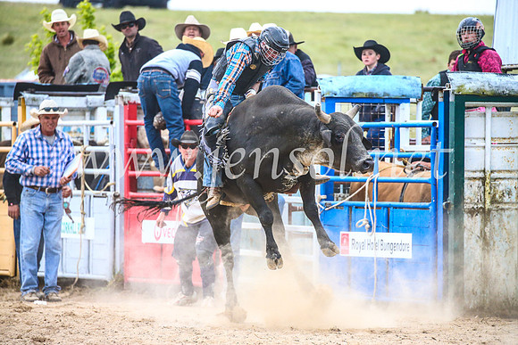 BungendoreRodeo2017_6836