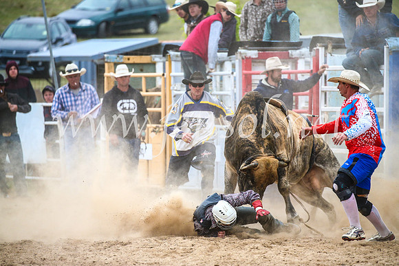 BungendoreRodeo2017_7051