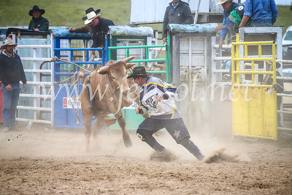 BungendoreRodeo2017_7346