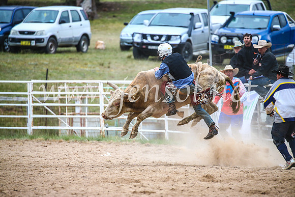 BungendoreRodeo2017_7377