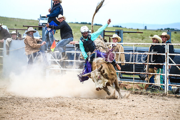 BungendoreRodeo2017_6749