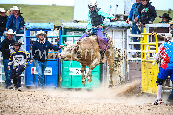 BungendoreRodeo2017_6717