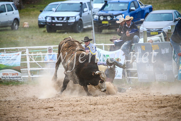 BungendoreRodeo2017_6974
