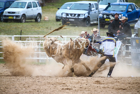 BungendoreRodeo2017_7373