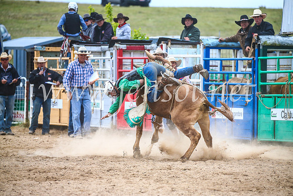 BungendoreRodeo2017_7317
