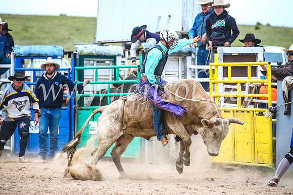 BungendoreRodeo2017_6714