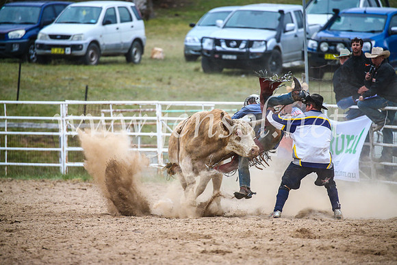 BungendoreRodeo2017_7385