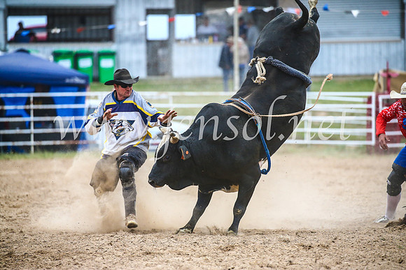 BungendoreRodeo2017_6958