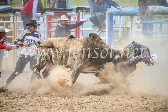BungendoreRodeo2017_7061